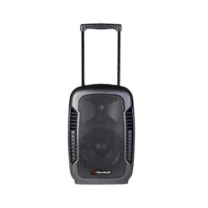 CAJA ITALY AUDIO 15  pulg RECARGABLE NEGRA BATERIA 12V INCLUY 2XVHF MIC Y PEDESTAL ELITEPORTABLE-BK