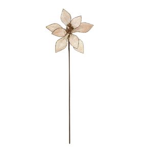 Poinsettia dia:17cm