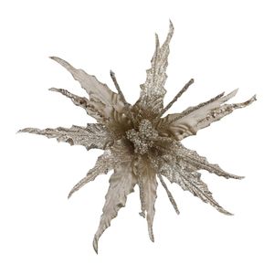 Pick poinsettia 20cm