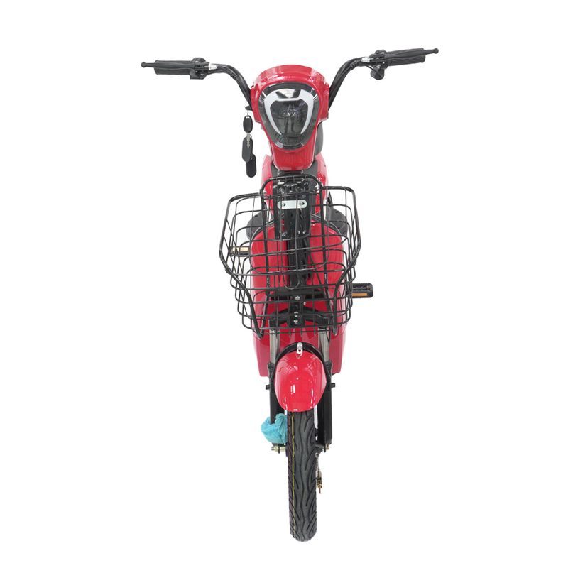 017131-frontal