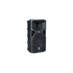 CAJA  BETA3 ACTIVO THUNDER/10 pulg/2 VIAS/550W  T10A