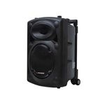 CAJA-AMPLIFICADA-8-pulg-BT-FM-1Wmic--ITL308B