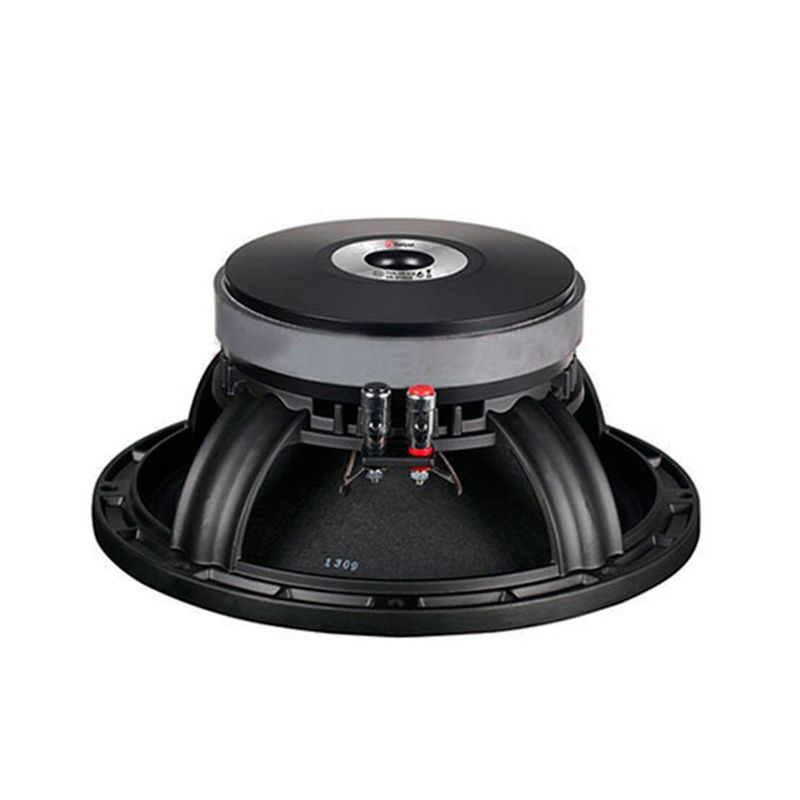 PARLANTES-PARA-BAJOS-10-pulg-350W--GW-101A