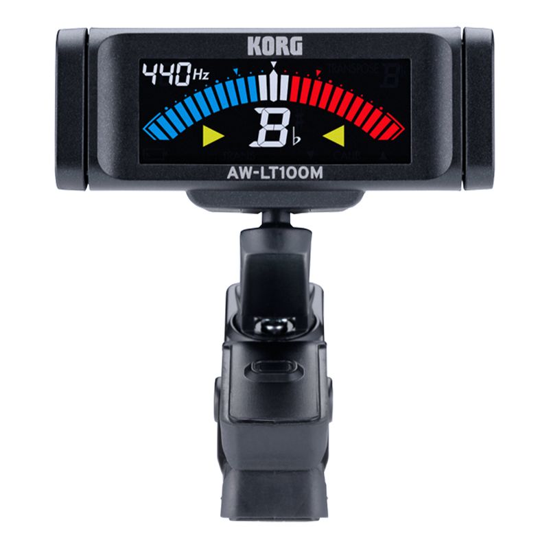 013904- frontal