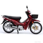 019755- Frontal recto